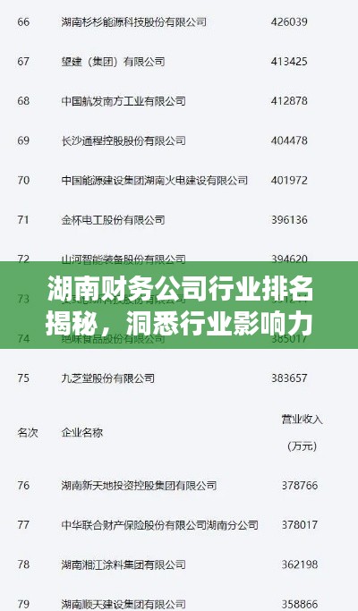 湖南財務公司行業(yè)排名揭秘，洞悉行業(yè)影響力與未來發(fā)展
