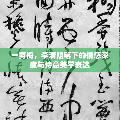 一剪梅，李清照筆下的情感深度與詩意美學表達