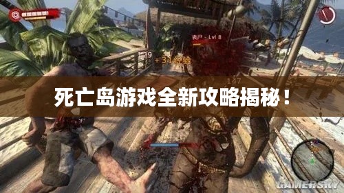 死亡島游戲全新攻略揭秘！