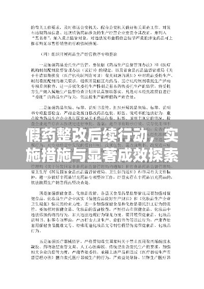 假藥整改后續(xù)行動(dòng)，實(shí)施措施與顯著成效探索