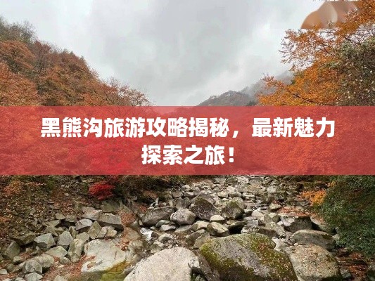 黑熊溝旅游攻略揭秘，最新魅力探索之旅！