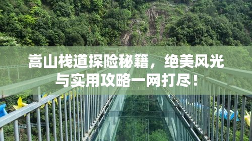 嵩山棧道探險(xiǎn)秘籍，絕美風(fēng)光與實(shí)用攻略一網(wǎng)打盡！