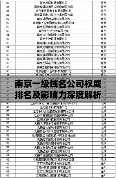 南京一級域名公司權威排名及影響力深度解析
