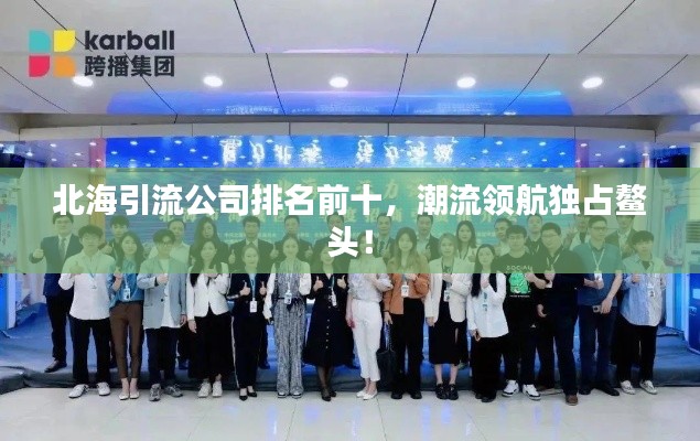 北海引流公司排名前十，潮流領(lǐng)航獨占鰲頭！