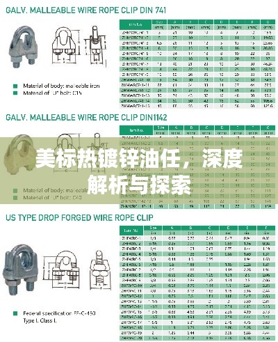 美標熱鍍鋅油任，深度解析與探索