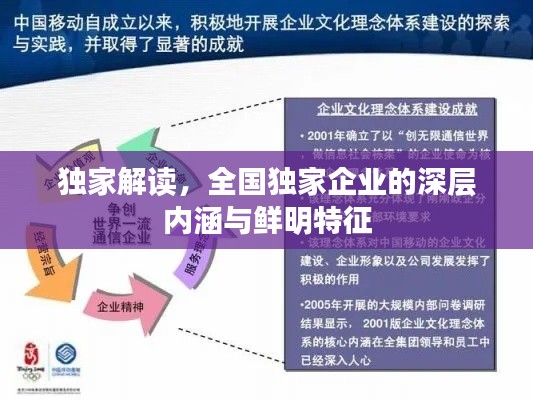 獨家解讀，全國獨家企業(yè)的深層內(nèi)涵與鮮明特征