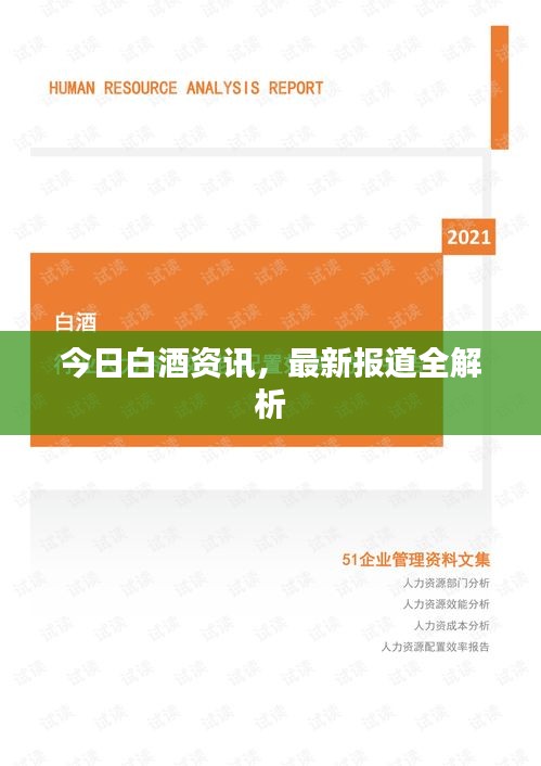 今日白酒資訊，最新報(bào)道全解析