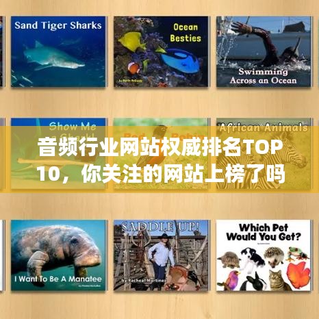 音頻行業(yè)網(wǎng)站權(quán)威排名TOP10，你關(guān)注的網(wǎng)站上榜了嗎？