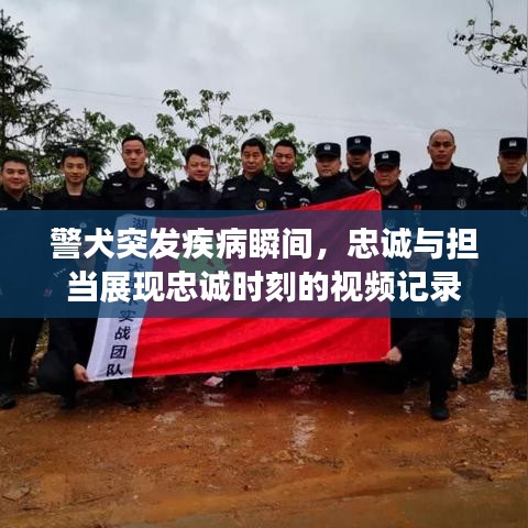 警犬突發(fā)疾病瞬間，忠誠與擔(dān)當(dāng)展現(xiàn)忠誠時(shí)刻的視頻記錄