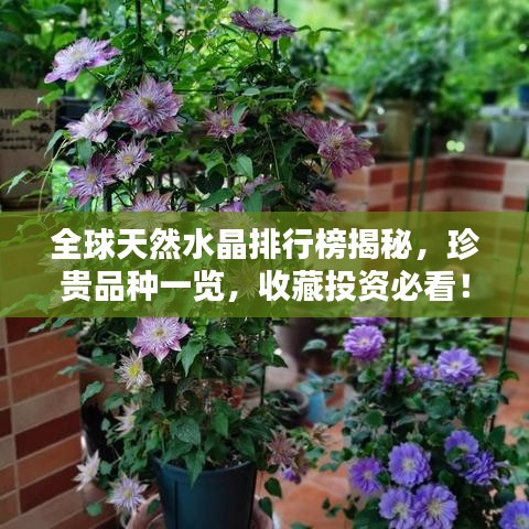 全球天然水晶排行榜揭秘，珍貴品種一覽，收藏投資必看！