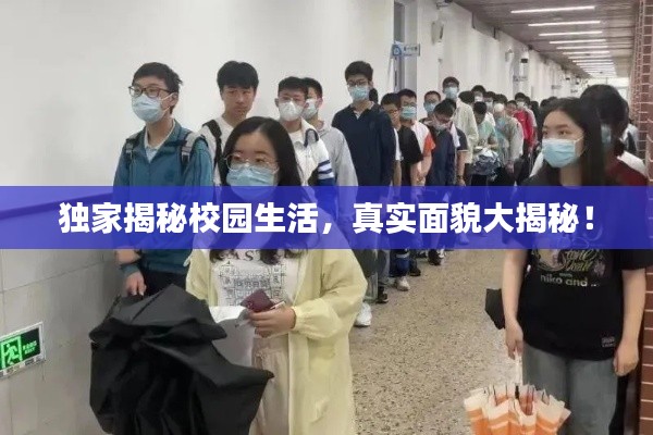 獨(dú)家揭秘校園生活，真實(shí)面貌大揭秘！
