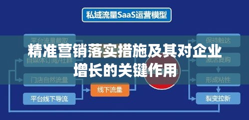精準(zhǔn)營銷落實(shí)措施及其對企業(yè)增長的關(guān)鍵作用