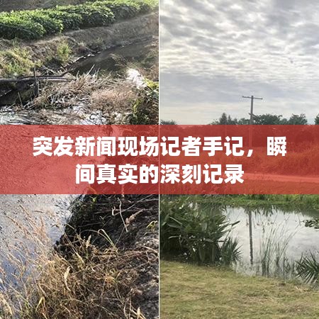突發(fā)新聞現(xiàn)場(chǎng)記者手記，瞬間真實(shí)的深刻記錄