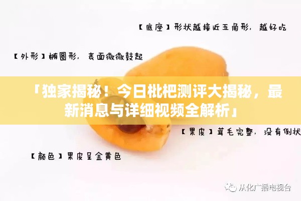 「獨(dú)家揭秘！今日枇杷測評大揭秘，最新消息與詳細(xì)視頻全解析」
