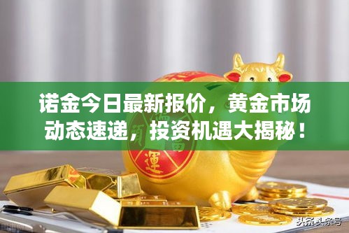 諾金今日最新報(bào)價(jià)，黃金市場(chǎng)動(dòng)態(tài)速遞，投資機(jī)遇大揭秘！