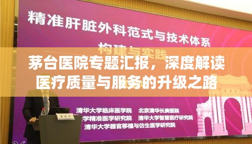 茅臺(tái)醫(yī)院專題匯報(bào)，深度解讀醫(yī)療質(zhì)量與服務(wù)的升級(jí)之路
