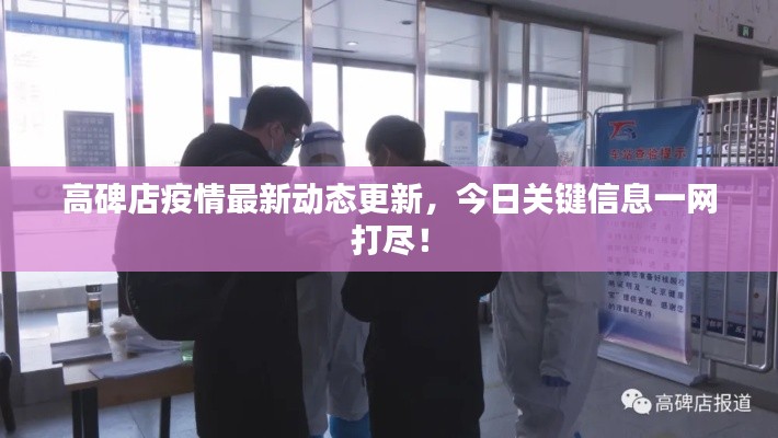 高碑店疫情最新動(dòng)態(tài)更新，今日關(guān)鍵信息一網(wǎng)打盡！