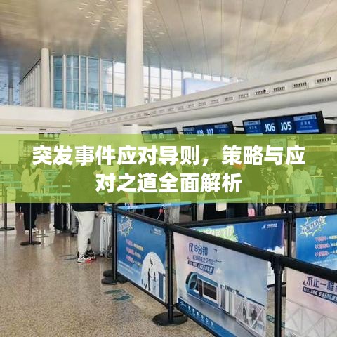 突發(fā)事件應對導則，策略與應對之道全面解析