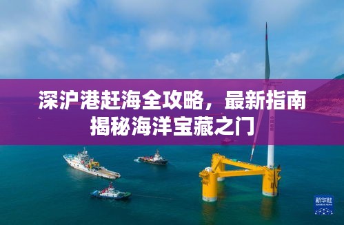 深滬港趕海全攻略，最新指南揭秘海洋寶藏之門