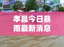 孝昌今日暴雨最新消息，實時更新，不容錯過！