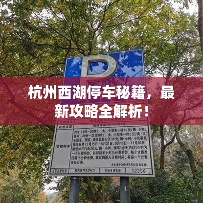 杭州西湖停車秘籍，最新攻略全解析！