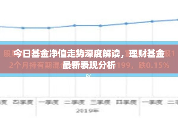 今日基金凈值走勢(shì)深度解讀，理財(cái)基金最新表現(xiàn)分析