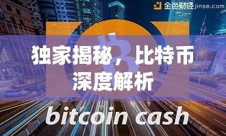 獨(dú)家揭秘，比特幣深度解析