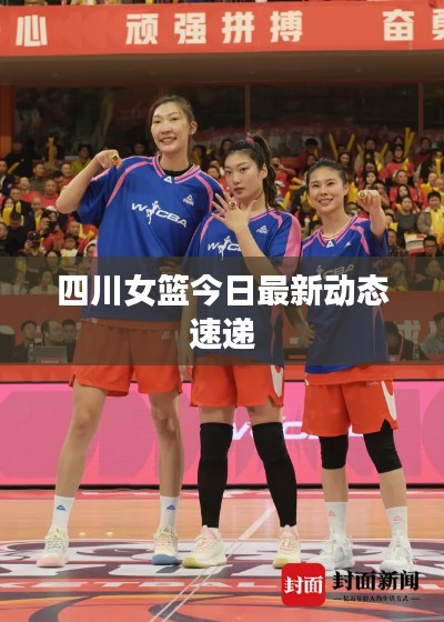 四川女籃今日最新動(dòng)態(tài)速遞
