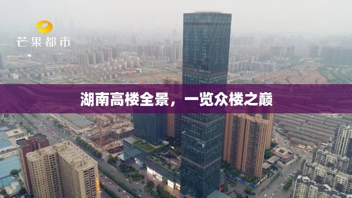 湖南高樓全景，一覽眾樓之巔