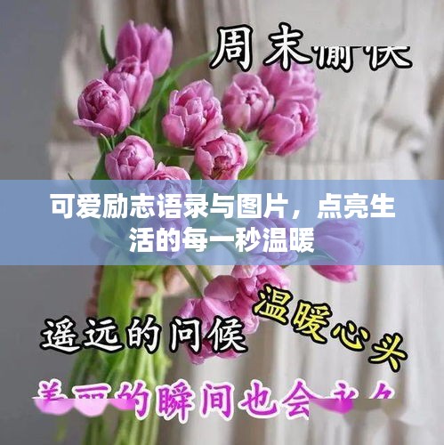 可愛勵(lì)志語錄與圖片，點(diǎn)亮生活的每一秒溫暖