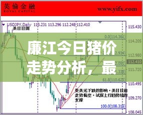 廉江今日豬價(jià)走勢(shì)分析，最新行情解讀
