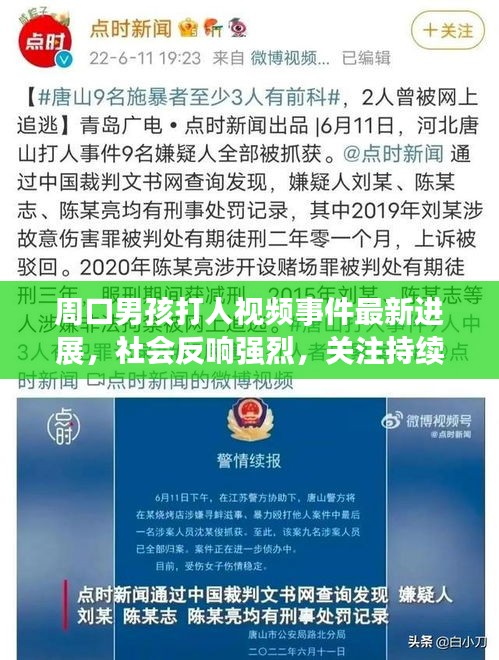 周口男孩打人視頻事件最新進展，社會反響強烈，關(guān)注持續(xù)升級