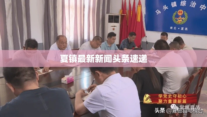 夏鎮(zhèn)最新新聞頭條速遞
