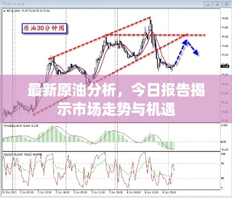 最新原油分析，今日?qǐng)?bào)告揭示市場(chǎng)走勢(shì)與機(jī)遇