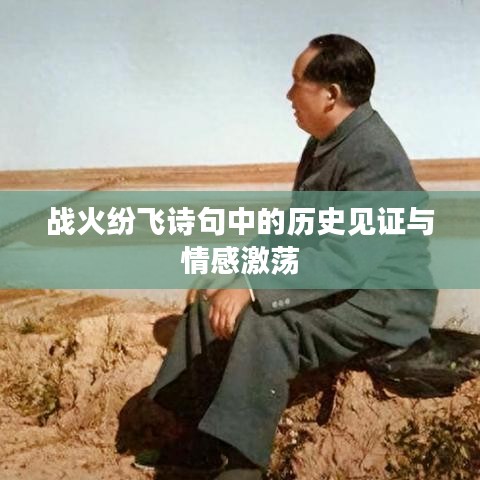 戰(zhàn)火紛飛詩句中的歷史見證與情感激蕩