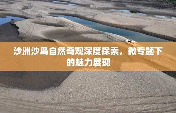 沙洲沙島自然奇觀深度探索，微專題下的魅力展現(xiàn)