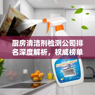 廚房清潔劑檢測(cè)公司排名深度解析，權(quán)威榜單揭秘！