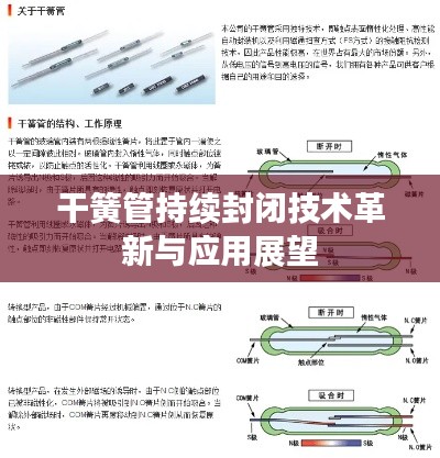 干簧管持續(xù)封閉技術革新與應用展望