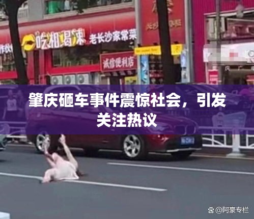 肇慶砸車事件震驚社會，引發(fā)關(guān)注熱議
