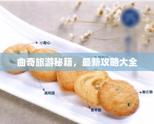 曲奇旅游秘籍，最新攻略大全