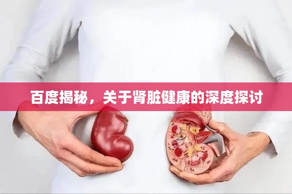 百度揭秘，關(guān)于腎臟健康的深度探討
