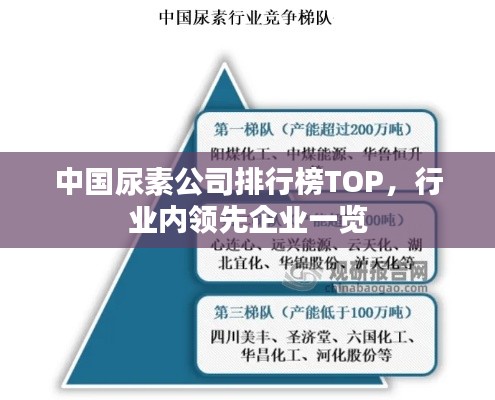 中國尿素公司排行榜TOP，行業(yè)內(nèi)領(lǐng)先企業(yè)一覽