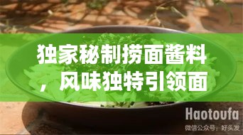 獨(dú)家秘制撈面醬料，風(fēng)味獨(dú)特引領(lǐng)面條新風(fēng)尚！