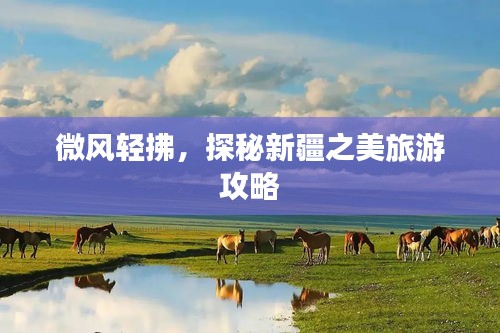 微風(fēng)輕拂，探秘新疆之美旅游攻略