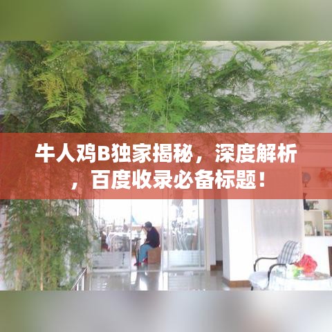 牛人雞B獨家揭秘，深度解析，百度收錄必備標(biāo)題！