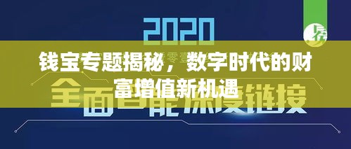 錢寶專題揭秘，數(shù)字時代的財富增值新機遇
