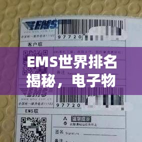 EMS世界排名揭秘，電子物流領(lǐng)域的全球格局探究