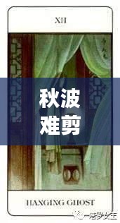 秋波難剪，情絲纏繞