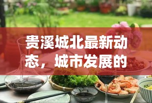 貴溪城北最新動態(tài)，城市發(fā)展的亮點與動向速遞