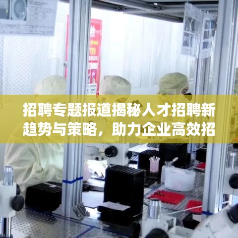 招聘專題報道揭秘人才招聘新趨勢與策略，助力企業(yè)高效招聘！